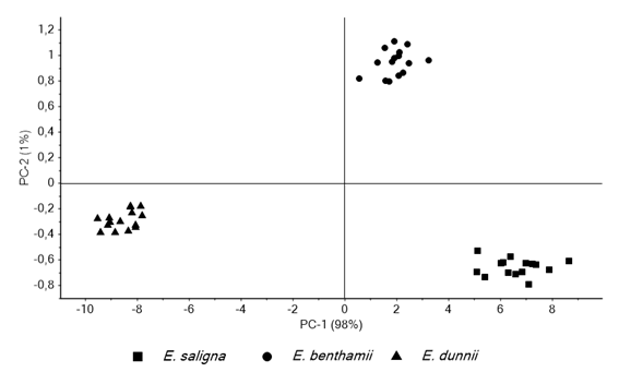 Two-dimensional scatter plot of the first and second principal components of the PCA scores.