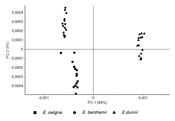 Two-dimensional scatter plot of the first and second principal components of the PCA scores.