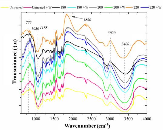 Infrared spectra of the studied pine woods. + W refers to weathered woods.
