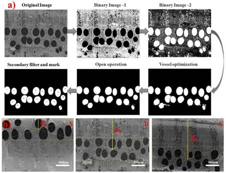 Numerical characterizations processes of earlywood vessel location parameters of specimens: a) Earlywood vessel area ratio (RC); b) the distance between earlywood vessel and load-bearing surface (RD).