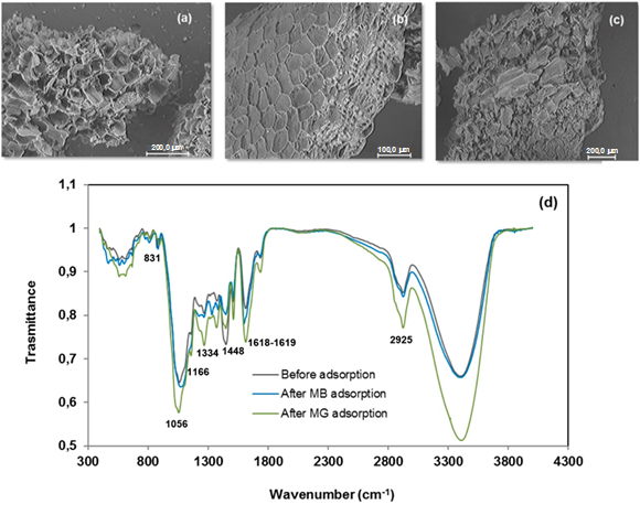 (a) SEM images of cluster pine (Pinus pinaster Aiton) bark before and (b) after methylene blue (MB) and (c) malachite green (MG) adsorption, and (d) FTIR spectra of pine bark.