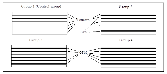 Layer organization of control group and experimental groups.