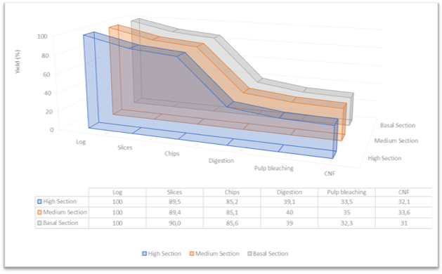 Cumulative performance in obtaining CNF from Guazuma crinita logs.