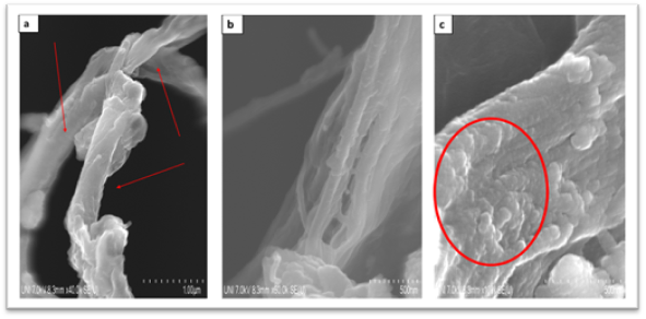 SEM micrographs of CNF of Guazuma crinita wood from different sections. (a) Cellulosicmicrofibril, (b) Macrofibril defibrillation and (c) Microfibril roughness.