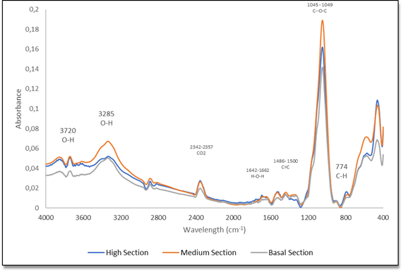 Infrared (IR) spectra of high, medium and basal section of CNF of Guazuma crinita. 