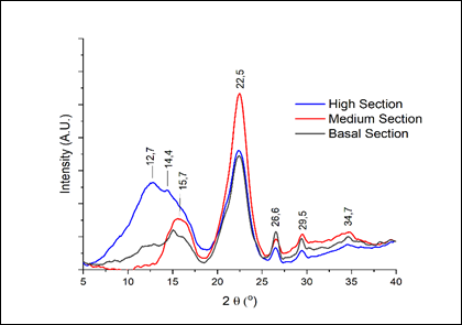 CNF diffractograms of Guazuma crinita obtained from three different sections of the longitudinal axis of the shaft.