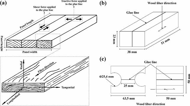 (a) Illustration of the EGP panel, (b) The specimen for the shear test and (c) The specimen for the traction test.