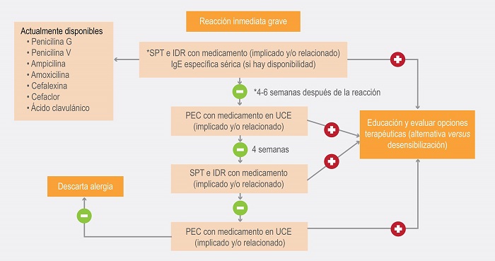 Algoritmo diagnóstico y terapéutico de reacciones adversas inmediatas graves a betalactámicos. IDR = prueba intradérmica, PEC = prueba de exposición controlada, SPT = prueba de punción cutánea, UCE = unidad de cuidados especiales. 