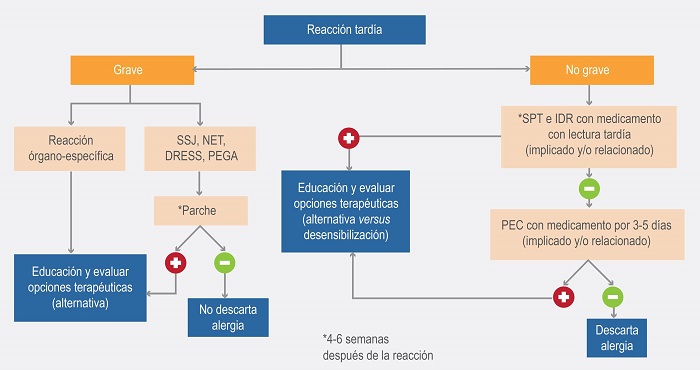 Algoritmo diagnóstico y terapéutico de reacciones adversas tardías a betalactámicos. DRESS = reacción a fármacos con eosinofilia y síntomas	sistémicos, IDR = prueba intradérmica, NET = necrólisis epidérmica	tóxica, PEC = prueba de exposición controlada, PEGA = pustulosis exantemática aguda generalizada, SPT = prueba de punción cutánea, SSJ = síndrome de Stevens-Johnson.