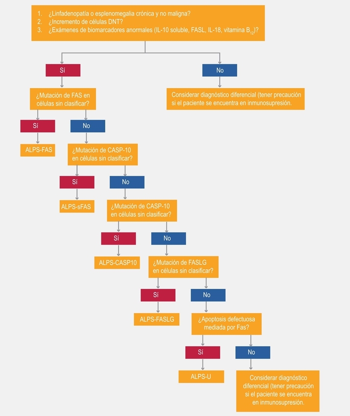 Algoritmo diagn&oacute;stico del s&iacute;ndrome linfoproliferativo autoinmune (ALPS, autoimmune lymphoproliferative syndrome). DNT = c&eacute;lulas T dobles negativas, IL = interleucina, FASL = ligando FAS, ALPS-FAS = ALPS debido a mutaciones de la l&iacute;nea germinal en el gen FAS, ALPS-sFAS = ALPS debido a mutaciones som&aacute;ticas en el gen FAS, CASP10 = gen de la caspasa 10, ALPS-CASP10 = ALPS debido a mutaciones en CASP10, FASLG = gen para el ligando FAS, ALPS-FASLG = ALPS debido a mutaciones en FASLG, ALPS-U = ALPS debido a defecto gen&eacute;tico desconocido. Adaptado de &copy;2019 UpToDate, Inc. Graphic 96876, versi&oacute;n 2.0.