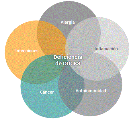 Abanico de manifestaciones de la deficiencia de DOCK8