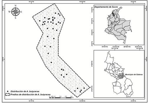 Área donde se realizó el estudio de la fauna asociada a Attalea butyracea (Arecaceae) en la finca Mi Ranchito, Galeras, Sucre, Colombia