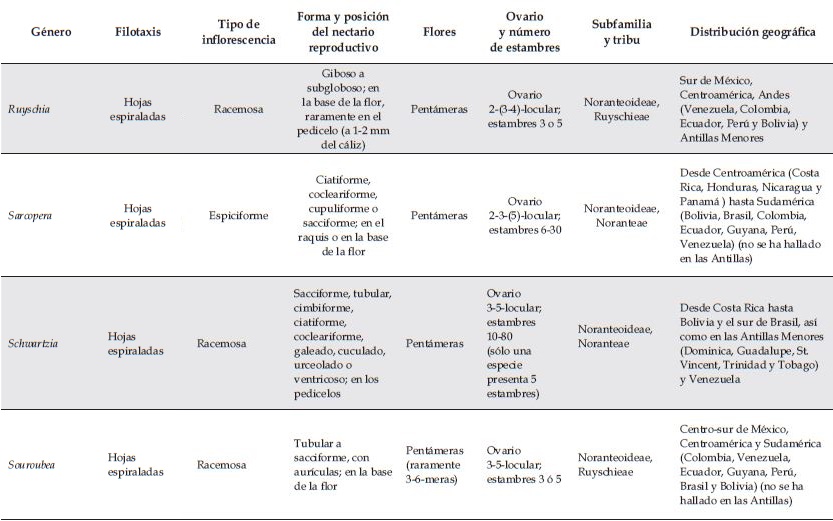 Características y circunscripción morfológica de los géneros de la familia Marcgraviaceae. *: En Marcgravia cada nectarioreproductivo no posee flor fértil, aunque en algunos casos esta puede aparecer en forma rudimentaria, mientras que en los restantes siete géneros cada nectario reproductivo tiene una flor fértil.