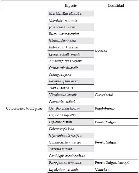 Especies cuya única evidencia en el departamento corresponde a colecciones biológicas o registros sonoros. Con asterisco se encuentran las especies que requieren confirmación