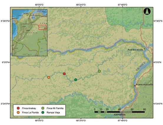 Cobertura geogr&aacute;fica de la caracterizaci&oacute;n de escarabajos copr&oacute;fagos del r&iacute;o Bita, Orinoquia colombiana.