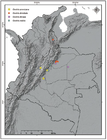 Registros de Centris americana, C. dimidiata, C. derasa y C. nobilis en Colombia.