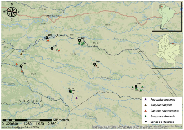 Ubicación de registros de ejemplares de especies de armadillos y zonas de muestreo en la subregión de sabana inundable del municipio de Arauca, Colombia. Zonas de muestreo: ZM1: Barrancones, ZM2: Todos los Santos, ZM3: Bocas del Arauca, ZM4: Brisas del Lipa, ZM5: San Pablo, ZM6: Bogotá y ZM7: Cinaruco.