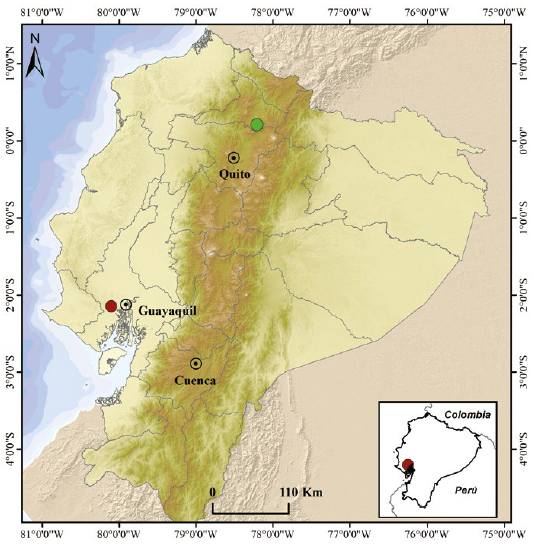 Casos de leucismo en peces dulceacu&iacute;colas en Ecuador. C&iacute;rculo rojo, Lebiasina bimaculata r&iacute;o Chong&oacute;n (este reporte); c&iacute;rculo verde, Astroblepus ubidiai en el lago San Pablo (Mena-Valenzuela & Valdiviezo-Rivera, 2016).