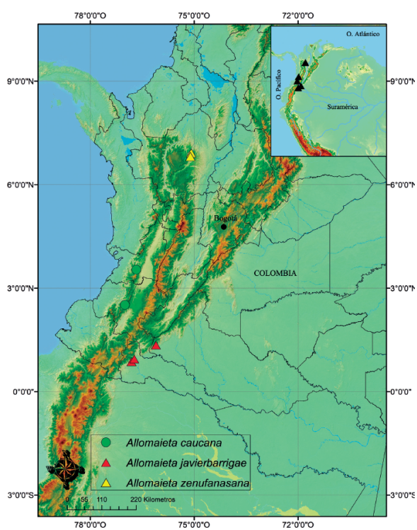 Distribución geográfica de Allomaieta javierbarrigae y de las especies morfológicamente similares.