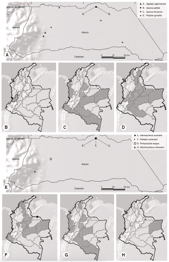  Distribution of vespid wasp species in the department of Arauca, Colombia, and at a national level (Richards, 1978; Sarmiento, 1994; Cubillos & Sarmiento, 1999; Flórez et al., 2016).