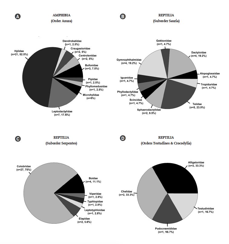 Diversity of amphibian (frogs) and reptile (lizards, snakes, crocodiles and turtles) families recorded in San Jos&eacute; delGuaviare, Guaviare, Colombia. Values in parenthesis represent the total number of species, and the percentage of the familiyfor each group.