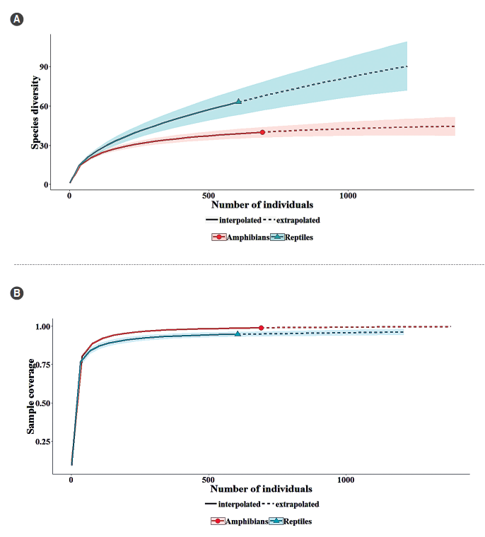 Richness and sample coverage curves of amphibians and reptiles recorded and estimated between 2012-2014 at San Jos&eacute; del Guaviare, Guaviare, Colombia. A. Richness. B. Sampling coverage. Solid lines represent data collected during inventory. Dotted lines: represent estimates or extrapolations. Shaded areas represent the confidence interval of 95 % generated by re-sampling (500 bootstraps).