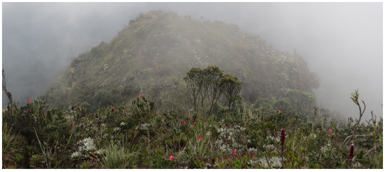 Las Palomas, municipio de Sons&oacute;n, Antioquia, Colombia, perteneciente al complejo Sons&oacute;n (3360 m s. n. m.).
