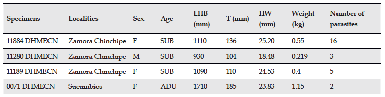 Measurements and weight of specimens of Epicrates cenchria cenchria infected by Porocephalus in the Ecuadorian Amazon. LHB: Length head-body, T: tail, HW: Head width.
			