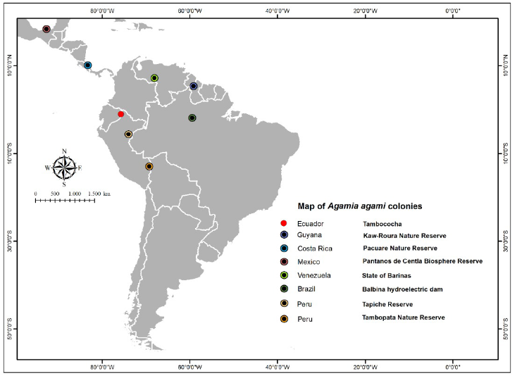 Map of recorded nesting colonies for the Agami Heron, Agamia agami, in South and Central America.