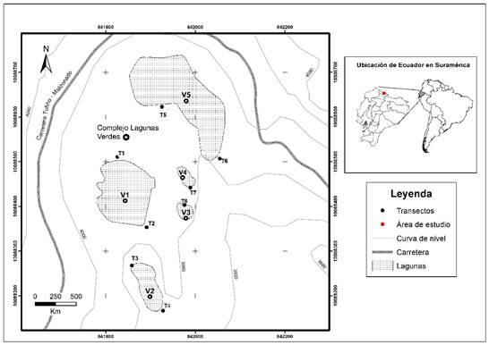 Localización de transectos de vegetación y ubicación geográfica de las lagunas Verdes en la provincia del Carchi, al pie del volcán Chiles, Ecuador.