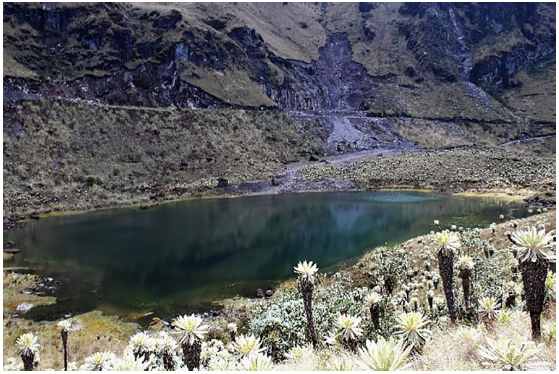 Laguna Verde 5, ubicada al pie del volcán Chiles, Ecuador. Fotografía: Berenice Vallejo.