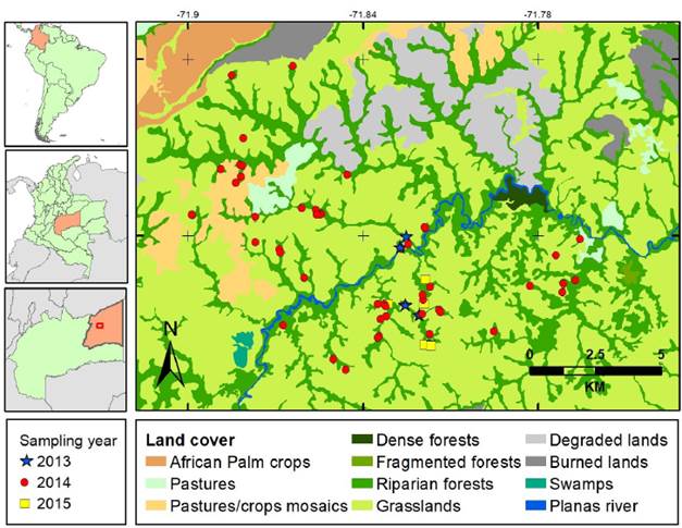Planas River basin in Puerto Gaitán (Meta, Colombia), with land covers and mammal sampling stations . Stars, 2013 sampling; circles, 2014 sampling: squares, 2015 sampling.
