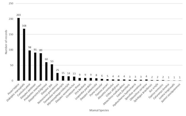 Number of records obtained with camera traps for medium and large mammals in the mid Planas River basin, Meta, Colombia.