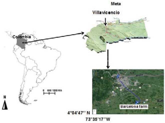 Close photo of location of the studied land use patterns located in Barcelona farm, Unillanos University, Villavicencio city, Meta state, Colombia.