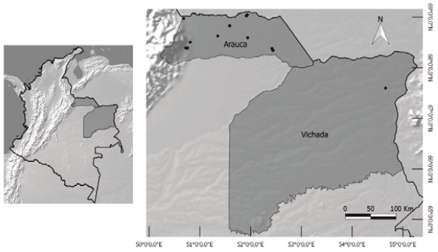 Localización de los lugares donde se recolectaron las plantas vasculares que corresponden a nuevos registros en los departamentos de Arauca y Vichada, Orinoquia - Colombia.