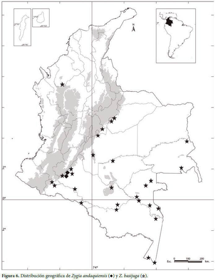 Distribución geográfica de Zygia andaquiensis (g) y Z. basijuga ( ).