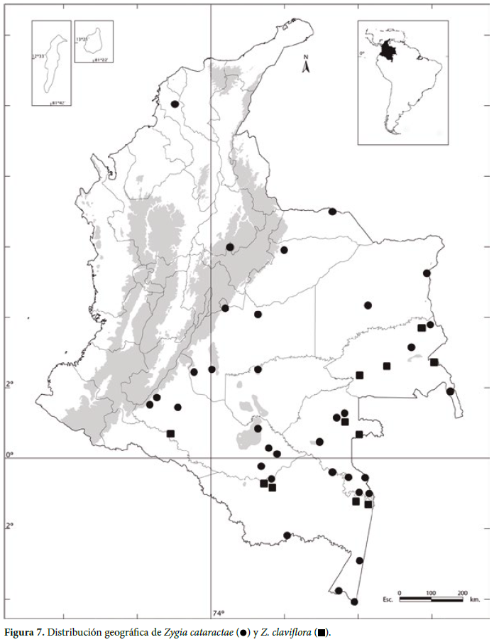 Distribución geográfica de Zygia cataractae ( ) y Z. claviflora ( ).