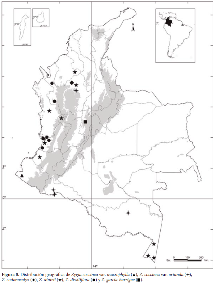 Distribución geográfica de Zygia coccinea var. macrophylla ( ), Z. coccinea var. oriunda ( ), Z. codonocalyx ( ), Z. dinizii ( ), Z. dissitiflora ( ) y Z. garcia-barrigae ( ).