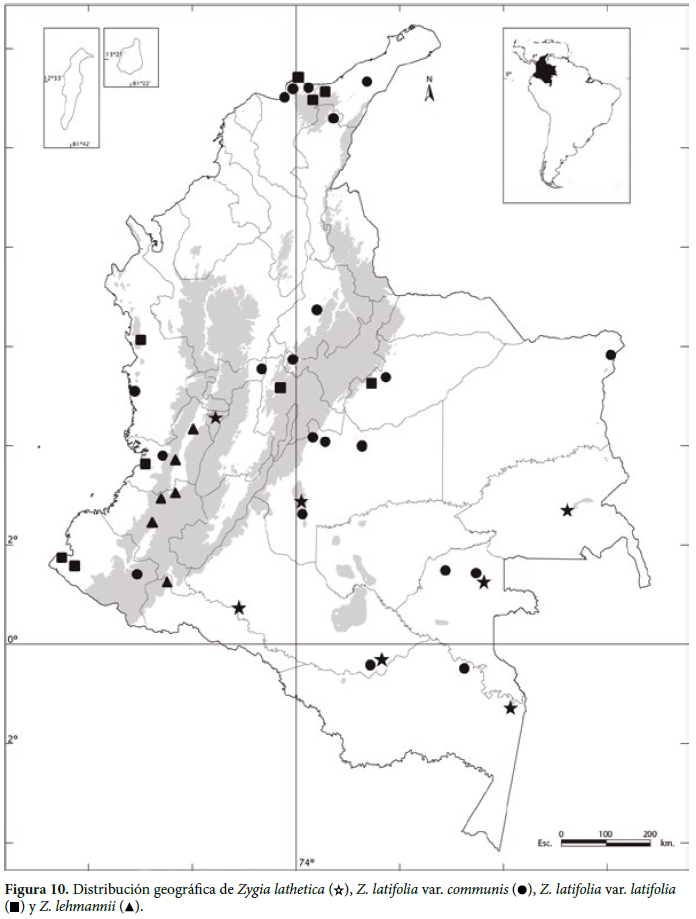 Distribución geográfica de Zygia lathetica ( ), Z. latifolia var. communis ( ), Z. latifolia var. Latifolia ( ) y Z. lehmannii ( ).