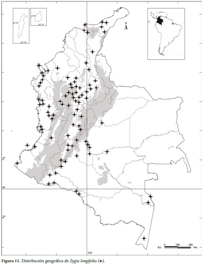 Distribución geográfica de Zygia longifolia ( ).