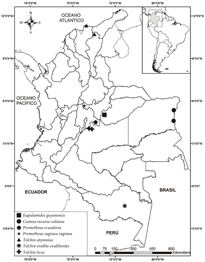 Ubicaci&oacute;n de los registros de castnidos de la colecci&oacute;n IAvH en Colombia.