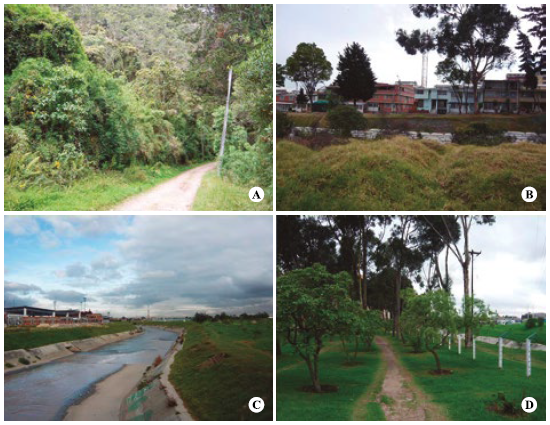 Sitios de muestreo de aves a lo largo del río Fucha, Bogotá (diciembre de 2015). A) Reserva El Delirio, B) San Cristóbal, C) Industriales, D) Marsella. Fotografías: Sergio Chaparro-Herrera©.