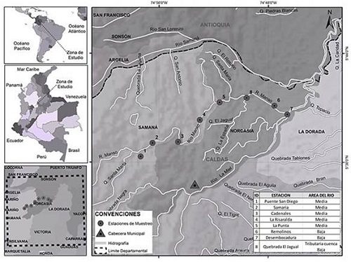 Mapa de la cuenca del río Manso en el departamento de Caldas, Colombia, y sitios donde se realizaron los muestreos de peces.
