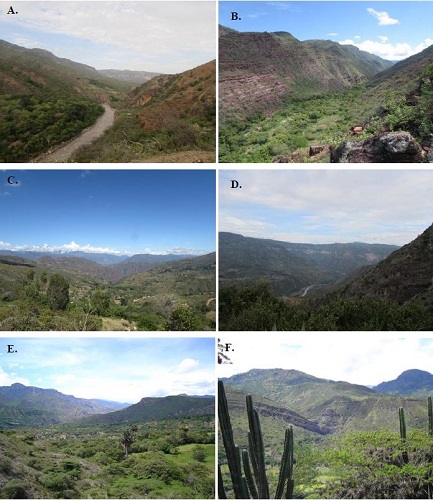 Paisajes de algunas localidades de estudio visitadas en el Cañón del Chicamocha, Colombia. Santander: A, Jordán-Los Santos; B, Los Fríos-Los Santos; C, La Purnia-Los Santos; D, La Mojarra-Los Santos. Boyacá: E y F, Soatá.