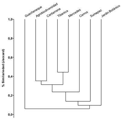 Dendrograma de similitud de la fauna de mariposas entre ocho nodos de biodiversidad de Bogot&aacute;- Regi&oacute;n, Colombia.