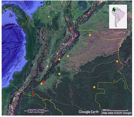 Cis-Andean distribution of Gonatodes albogularis in Colombia, showing previously known (red circles) and new records (yellow circles). Datum: WGS84.