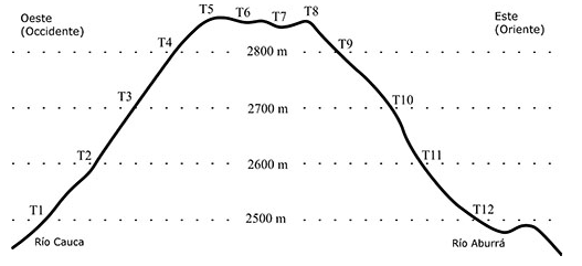 Perfil y distribuci&oacute;n altitudinal de las trampas tipo Van Someren Rydon usadas para la captura de mariposas diurnas (Lepidoptera: Papilionoidea) en la reserva forestal El Romeral, Antioquia, Colombia.
