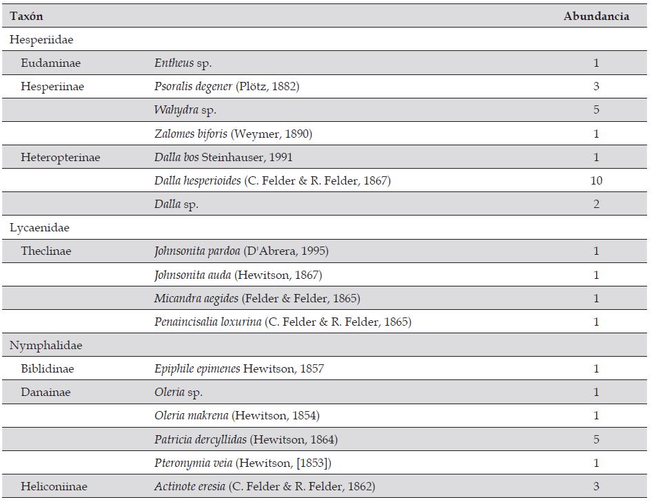 Especies de mariposas y sus abundancias reportadas en la reserva forestal El Romeral, Suroccidente del Valle de Aburr&aacute;, Antioquia - Colombia
