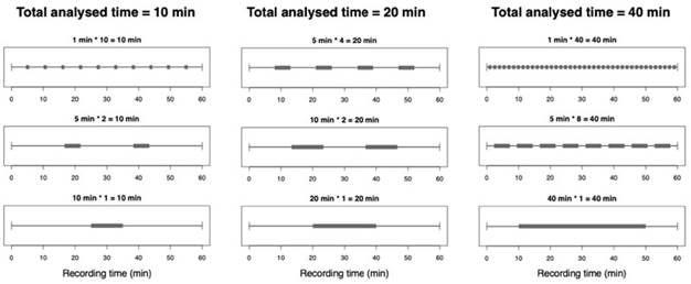 Experimental design examples for different combinations of subsample frequency, adding up to a total analysed time of 10, 20 and 40 minutes. Grey segments represent the subsamples taken from one-hour files.