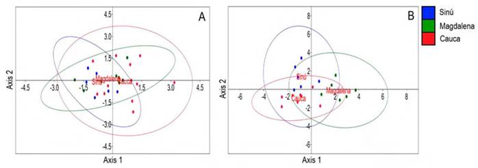 Linear discriminant analysis scores and 95 % confidence ellipses for Prochilodus magdalenae males and their bioacoustical variables, to evaluate differences between river origin of individuals. A, simple pulses (n=27) and B, pulse trains (n=20)